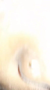 Tamil manžel manželka domácí sex video krásné ženy velká prsa ženy ženy