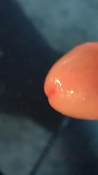 Juicy Close up