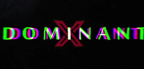 XDominant: Xdominant 006 - 熟女愛人エロアートフェムドム