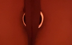 Number F 19: POV: Anální kolík Tlačí na tebe