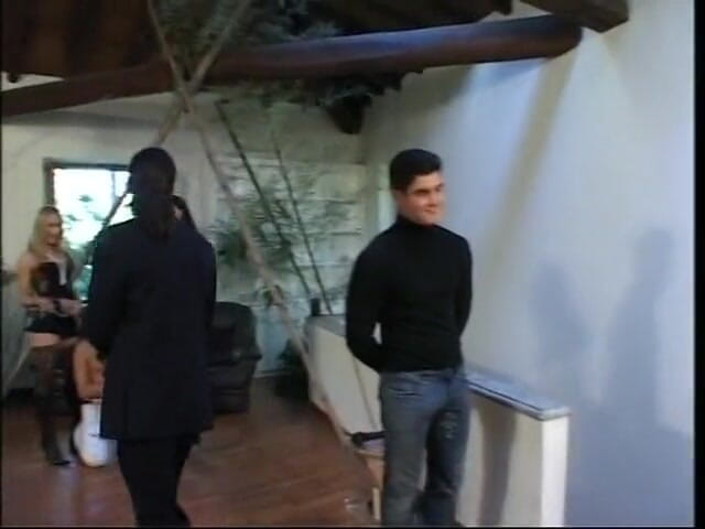 Shemale World: Pesta seks sange transgender