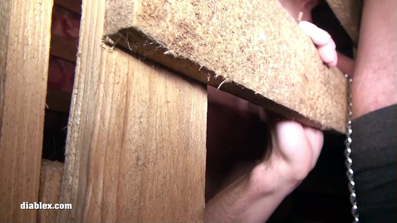 Diablex: Я жду своего хозяина в погребе