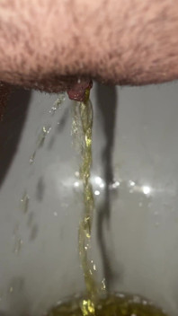 Koleksi kencing kuning pagi-pagi! Memamerkan bantalan kotorku!