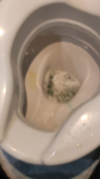 Pising Piss