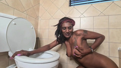 domslutfucker: Desi Slut Human Toilet Dirty Talk, Head Flush, Toilet Lick