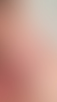 The Cunning Linguist!