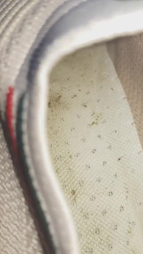 Simp to my ebony feet: Ven y mira dentro de mis entrenadores sucios de 3 días...