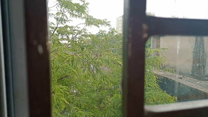 suchismitasarkar: Bengálská sexy hvězda Tina masturbuje v hotelovém pokoji