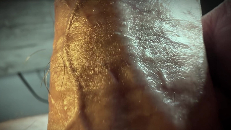 Leonardo-1974: Good Close-up Shot of the Cumshot.