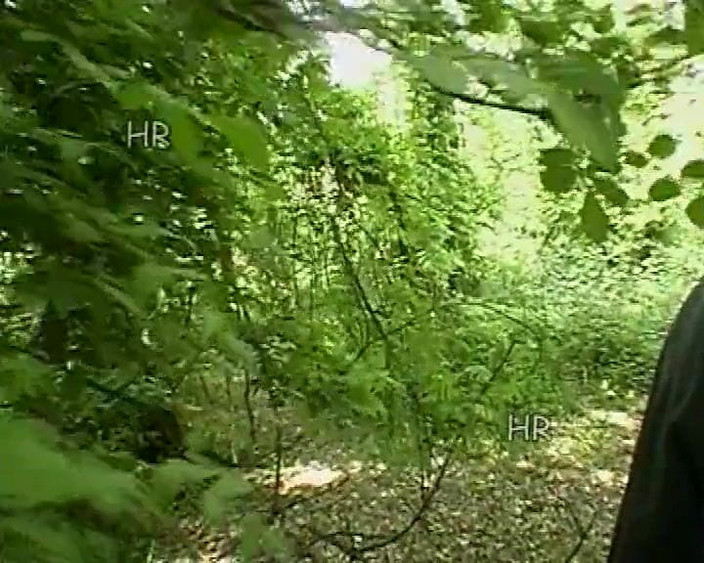 Hans Rolly: Amatoriali anni '90- il vicino vuole diventare una porno star parte 2