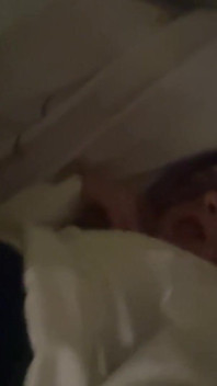 where is Stepdaddy
