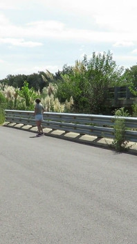 Patricia on the Bridge Over the Road