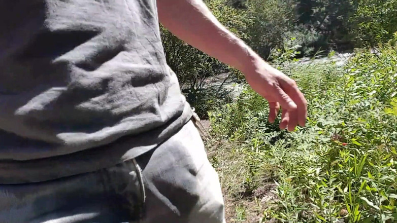 Lapetus: Piss Roadtrip #3