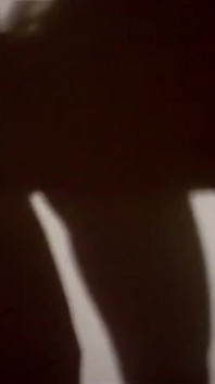 Lustige Witwe (1995)