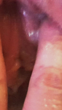 Fingered, Fucked and Inseminated