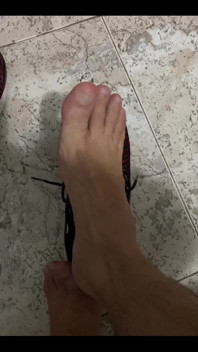 Pies Pies Pies