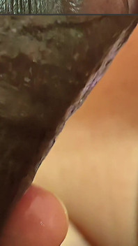 Černoch si hraje na výzvu try not cum a jeho žena kouří jeho ptáka a skončila tvrdým stříkáním do jejích úst