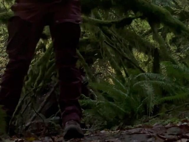 Striptease for Them Trees (Wild River)