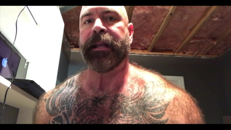 Will Angell: Peitos de porco