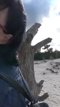 On the sandy dune