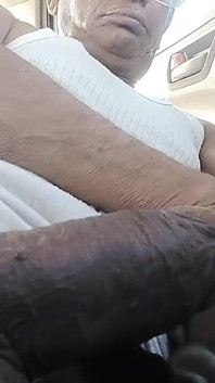 Ejaculate Land