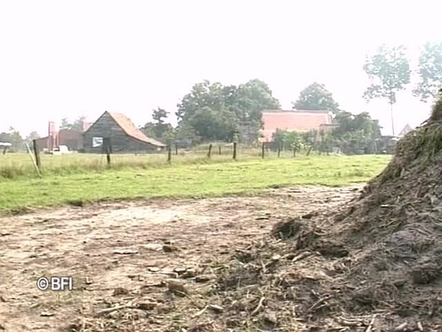 Dutch Desire Nights: Dvd xkiss - polder seks