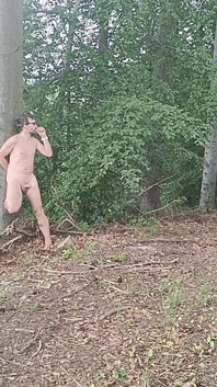 Esposizione nella foresta: Un uccello inseguito in una foresta di faggi