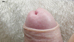 Nalekhome: Con cu của tôi trên macro