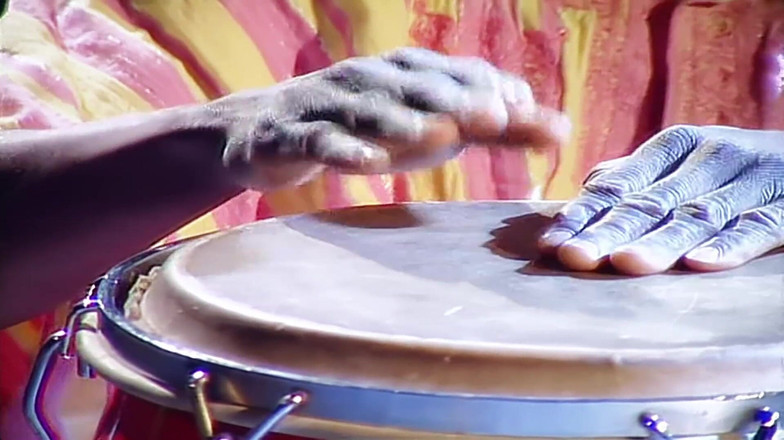 Antonio Adamo Film: Mój mąż zmusił mnie do złamania tyłka przed wszystkimi