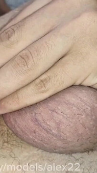 Gek Sperma Lek. Femboy Mietjes Met Grote Pikken in Sperma Van Hardcore Neuken