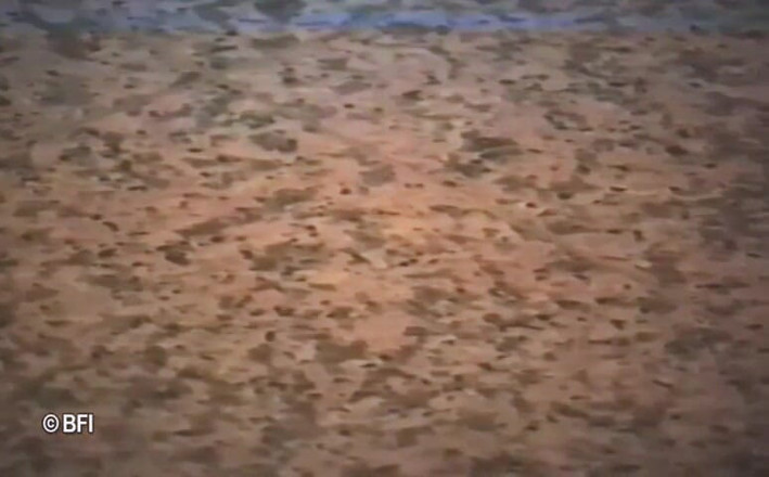 Pissing Girls: Choco piss 3 - Compilation of close-up vintage pissing scenes