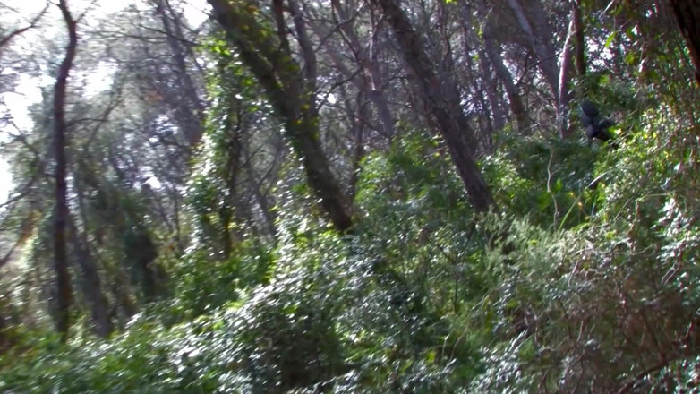 Time To Jerk Off: Big booty brunette slut fucked rough in the woods
