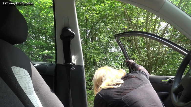 Tranny Tarts: Dogging t-girl used by two guys at the rest area
