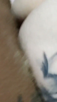 My Wife Arrives Late from The Club with Her Pussy All Sticky with Cum and She Makes Me Suck Another Man's Cum