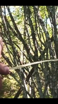 Pissing Outdoor