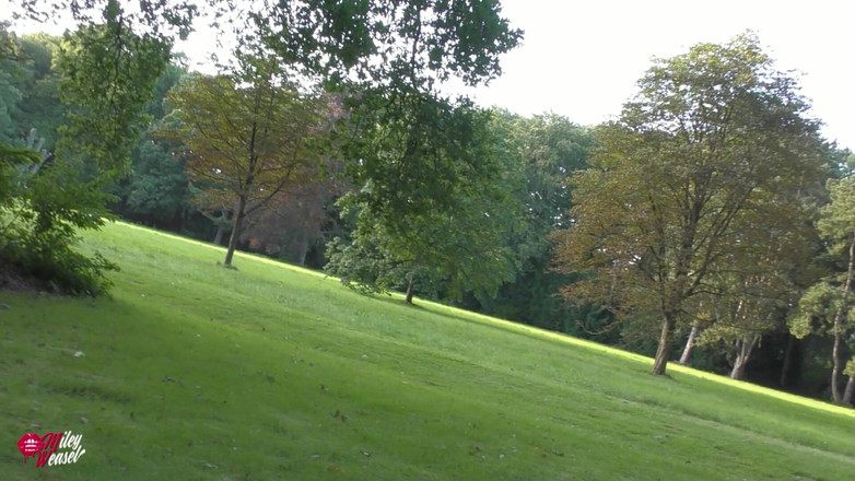 Miley Weasel: 公园里的淫荡荡妇被认出并潮吹遍地！！