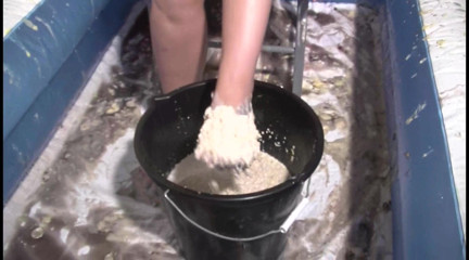 Gunked up girls: Georgie Girl กินโจ๊ก