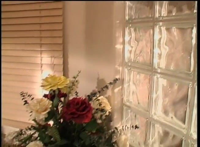 Freaks on Cocks: Hermosa mucama de casa con pechos falsos follada en la...
