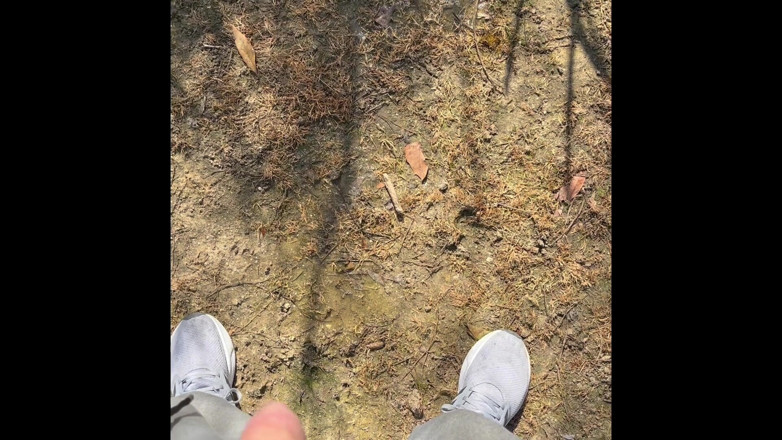 The newhere: Piss Outdoors та ще більше збірок