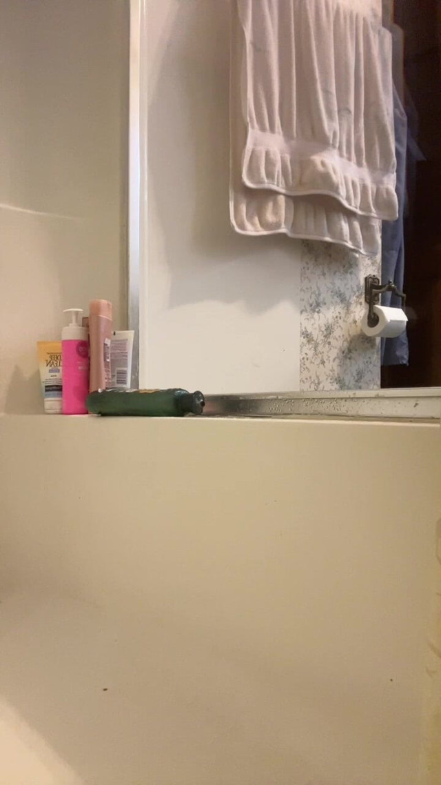 Winter Cleaning (Chrissy short)