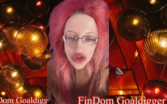 FinDom Goaldigger: 良好的薪酬感受