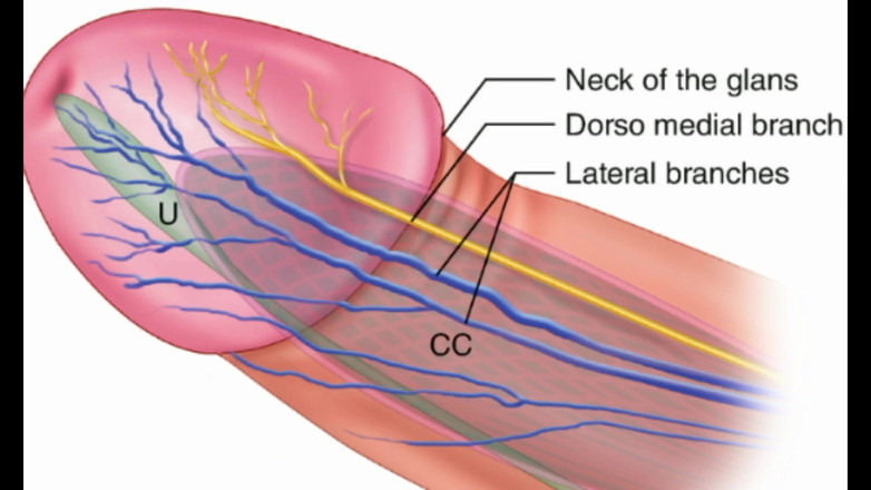 Gaylectrician: Elektrická stimulace