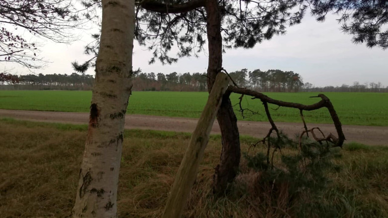 Bouncy Tits Action: Obwisłe cycki kara w miejscach publicznych