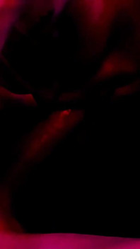 ミストレスの地獄 - BDSMハードコア