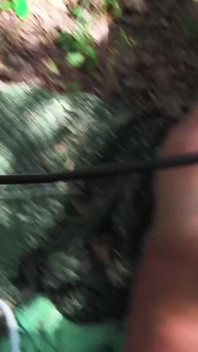 Young Sadist Whips an Old Pig Tied up in the Woods