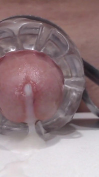 Dick Cums Closeup