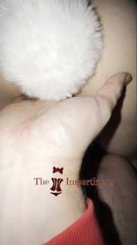 Masturbate My Best Friend with a Bunny Tale