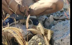 Desi Papa