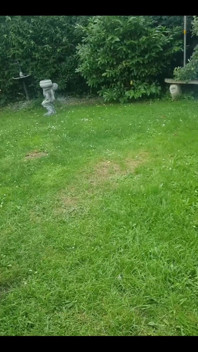 Me Just Being an Idiot Again!! Flying My Broom