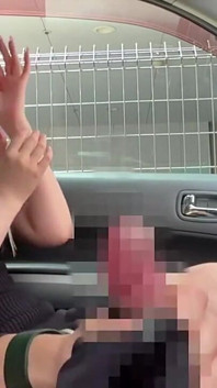 Carseatchaos como a ceo da gal encontra calor, sua unidade ousada terminando em uma andorinha quente